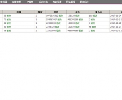 骑士GM管理WEB后台