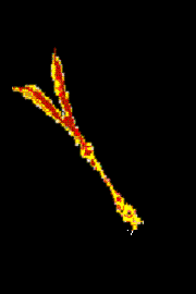 110834x889dgbcmztssfqo.bmp