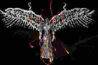 110917d5qm8o4kbo88gmmt.jpg