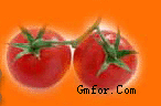 222451if9luce5tt5xg9lh.png