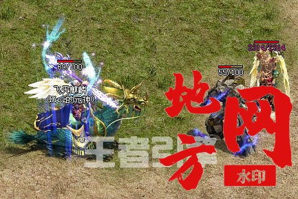 223701y1fks081zix3jmdi.jpg