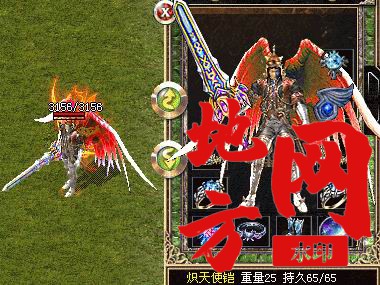 174007wsss112dvs3a2dsd.jpg