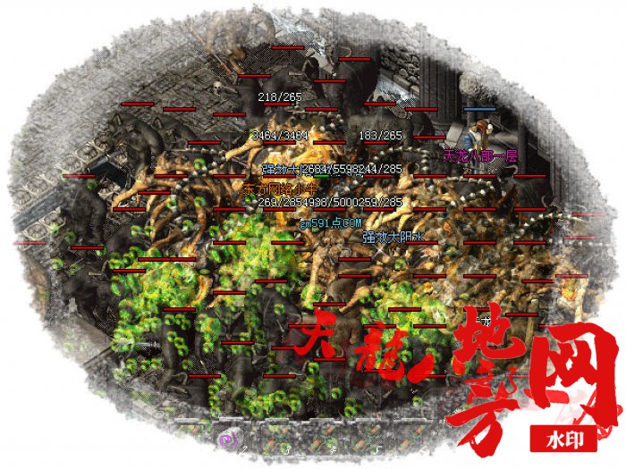 214648ctnsfdultztlpuz0.jpg