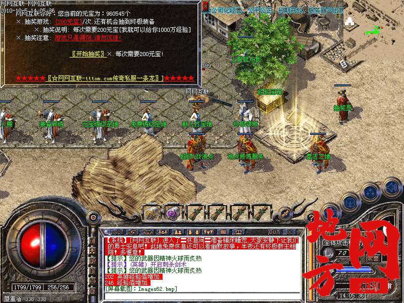 102038p8nht44h4hp8et29.bmp
