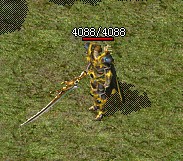 132026uh0axxtudho5i8tp.jpg