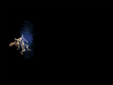 8.gif