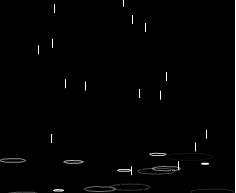 BG2.GIF