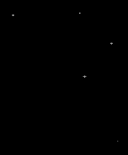 bg.gif